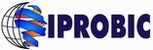 Institut Professionnel Bilingue des Cadres